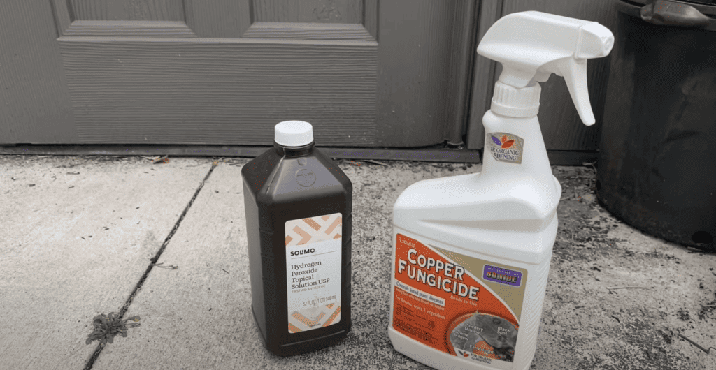 Hydrogen peroxide and copper fungicide